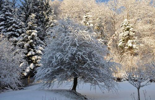 Mansarda in montagna - Foto 19