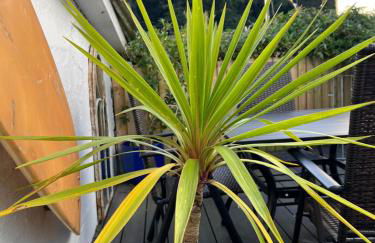 Rosevean Cottage St Agnes - Foto 43