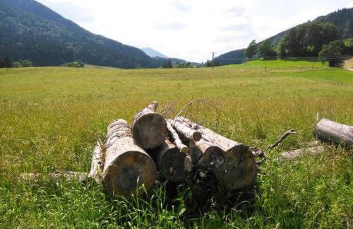 Hof Rossruck - Foto 24