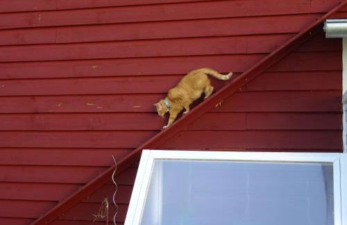 Fewo Lindenstrasse - Foto 32