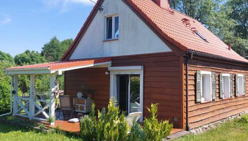 Storchenwiese Wald Meer Natur - Foto 3