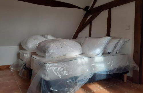 Gites au fil des châteaux de la Loire - Foto 54