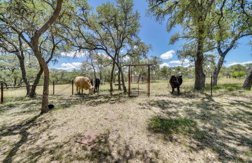 Swim, Hike and Unwind Serene Hill Country Retreat - Foto 35
