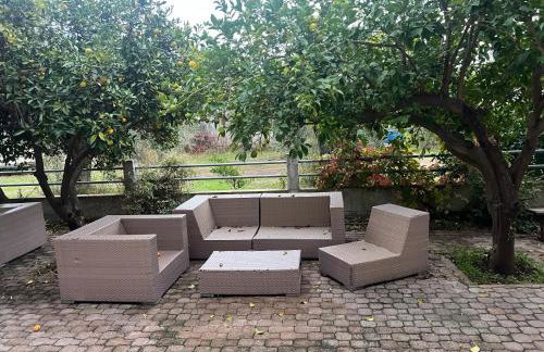 KONTOGIANNIS lihas club 2 - Photo 6