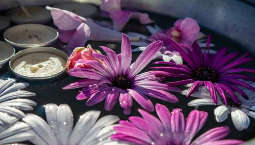 Villa Villa Ida - Foto 2