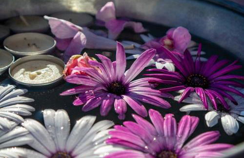 Villa Villa Ida - Foto 2