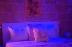 Le camelie - Foto 70