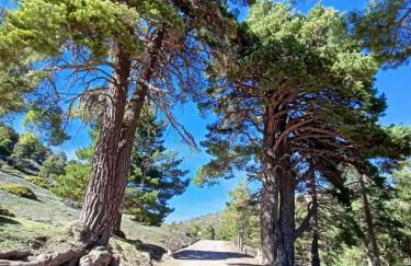 Bellísima cueva acogedora "Casa Olivia" - Foto 59