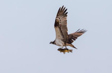 Ferienwohnung Maribell Jabel - Foto 15
