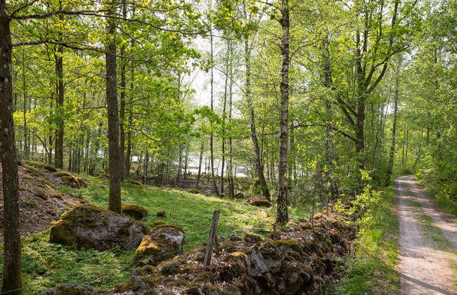 2 bedroom House in Backaryd with garden - Photo 30