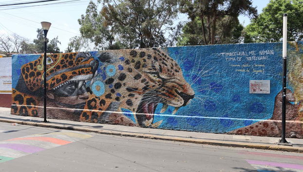 Iztapalapa and Cable Car Tour - Foto 3