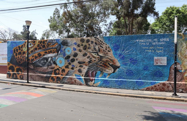 Iztapalapa and Cable Car Tour - Photo 3