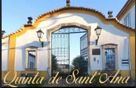 QUINTA DE SANT'ANA - Foto 24