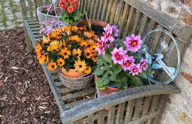 Ferienwohnung auf Pferdehof bei Neustadt - Foto 27