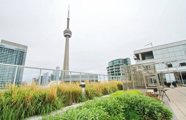 Bluejaysway - Foto 17