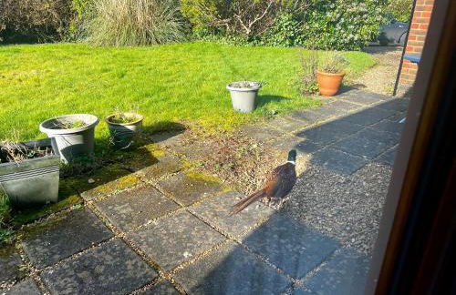 Self-contained Guest Suite, Michelmersh, Romsey - Foto 27