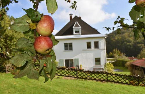 Ferienwohnung Erzgebirgswohnung Götze - Foto 30