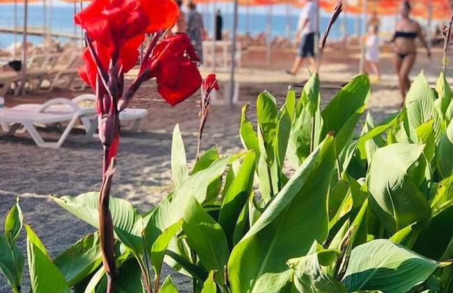 Gold City 3 bedroom Villa 1 - Foto 36