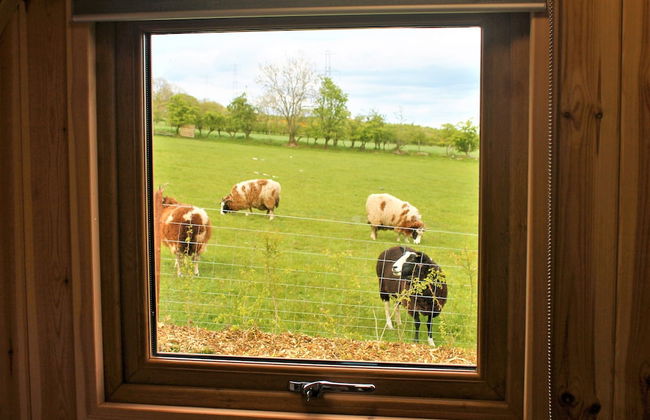 Cairnfold Cabins - Foto 28