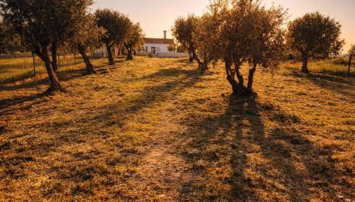 Cantinho do frade - Foto 5