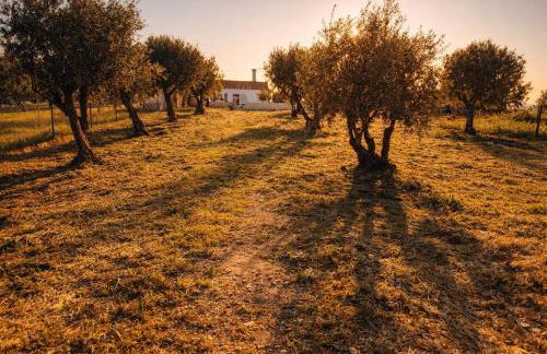 Cantinho do frade - Foto 5