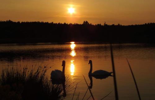 Red Rose Cottage - Foto 23