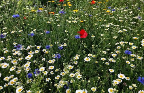 1 Bed in Umberleigh oc-55321 - Foto 25