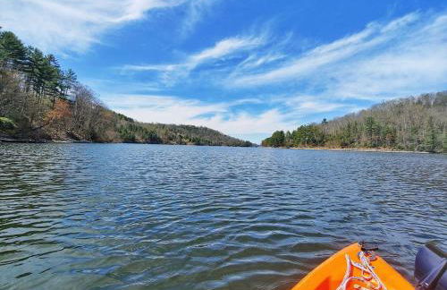 Stunning Modern Rustic Lake Retreat PRVT BOAT SLIP - Foto 34