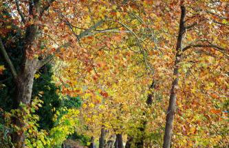 Kasoni Home , Απόλυτα κεντρικό διαμέρισμα μπροστά στη λίμνη - Foto 50