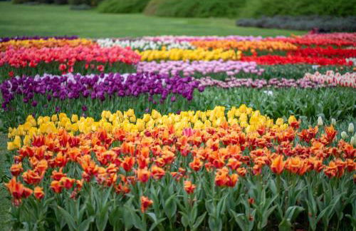 Casa Magenta Apartment 5 - Foto 30