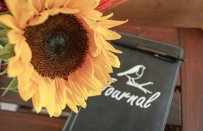 Trailside Stays - Foto 61