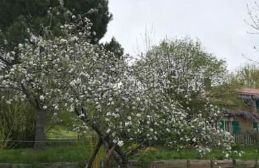 Cocon cosy et déconnecté 30min Puy du Fou - 2 chambres et 1 canapé lit - Foto 12