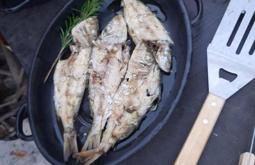 Kuća za odmor Leptirić - Foto 46