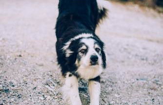 Agriturismo Podere il Fornacino - Foto 75