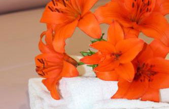 Casa Gigli - Foto 13