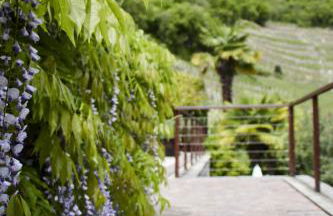 Frühmesserhaus Refugium zu Sanct Kassian - Foto 44