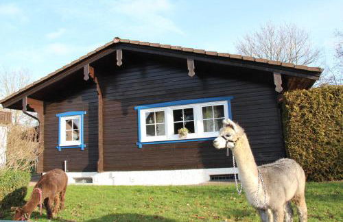 Blockhaus am Edersee - Foto 12