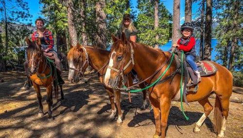 The Elderberry Retreat - It's a Dream Location! - Foto 3