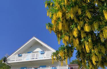 Apt FIONA4 Centrum700m Parking Bezpłatny Monitorowany Salon z Sypialnią Tv Łazienka Kuchnia Rekuperacja - Photo 1