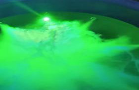 Liwa Garden Krzywa 11 - Foto 69