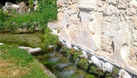 Tour in Brihuega - Photo 3