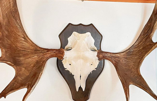 7 Person Holiday Home in Tjorn-by Traum - Foto 24