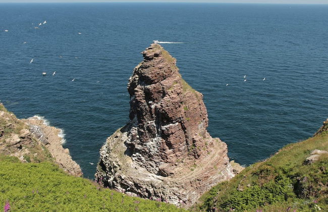 Cozy Apartment Near the Cliffs of Cap Frehel - Foto 29