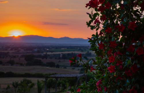 Podere n.8 Bio Casale Maremma - Foto 29