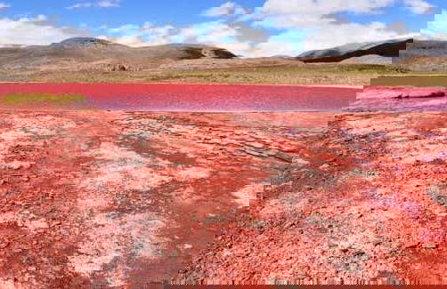 Excursão à lagoa Vermelha - Foto 6