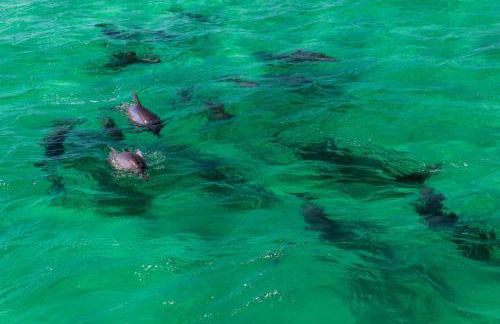 Bright, Corner Unit With Incredible Gulf And Sunset Views! - Foto 54