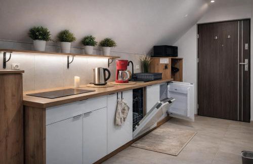 Willa Sowia nowe apartamenty nad górskim potokiem zachwycający widok na góry - Foto 8