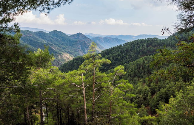 Sanders Arsorama Arsos - Foto 54