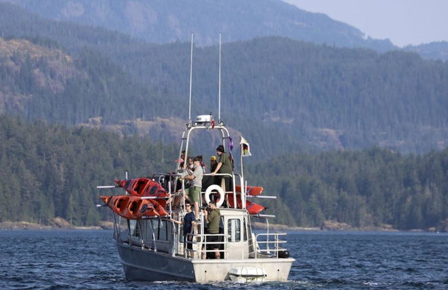 Full Day Kayaking with Whales Tour - Foto 9