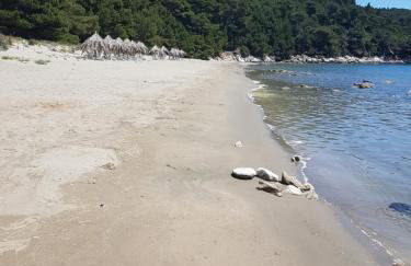 Apartments Villa Hansal - Photo 16